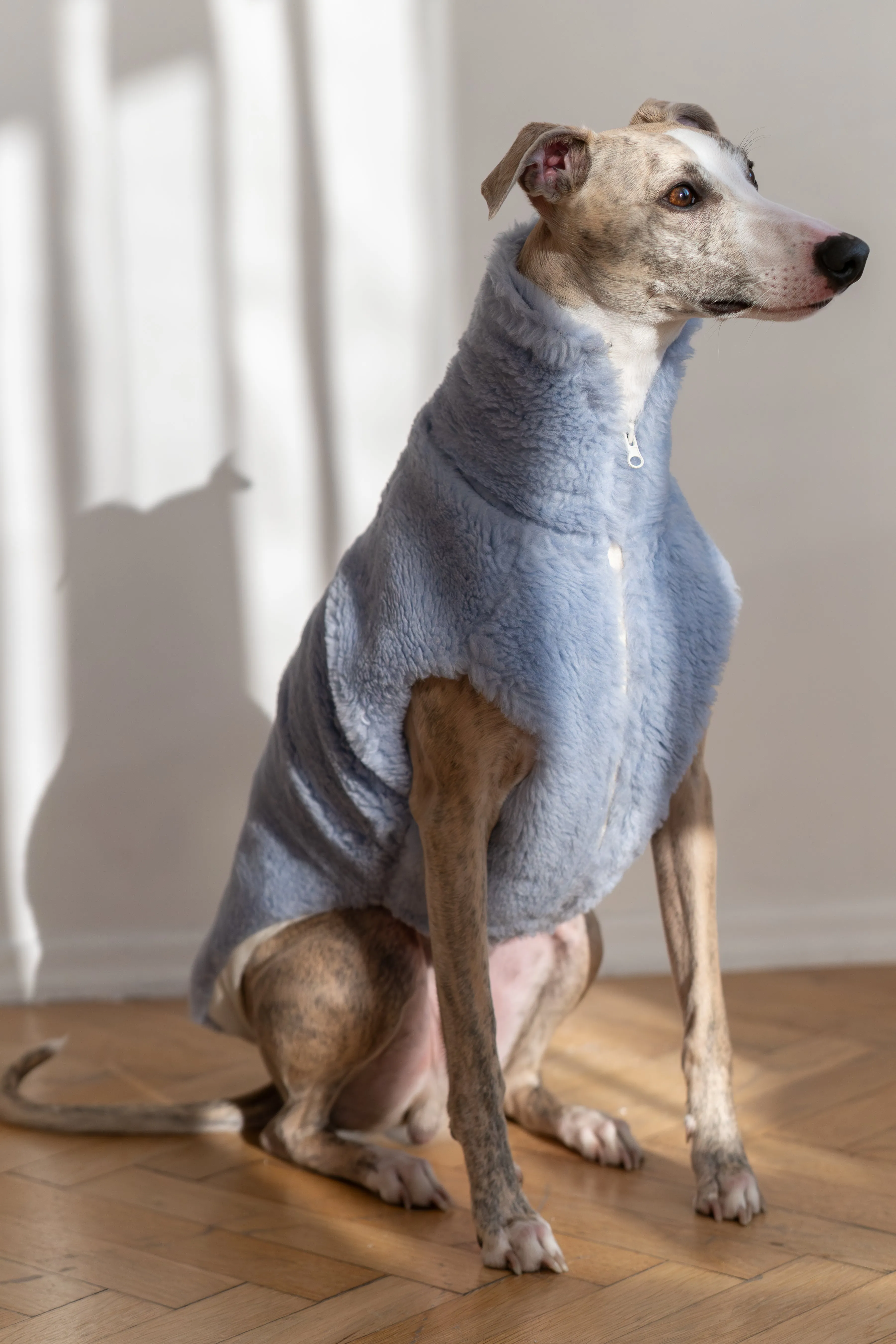 Woolen Dog Vest - Blue